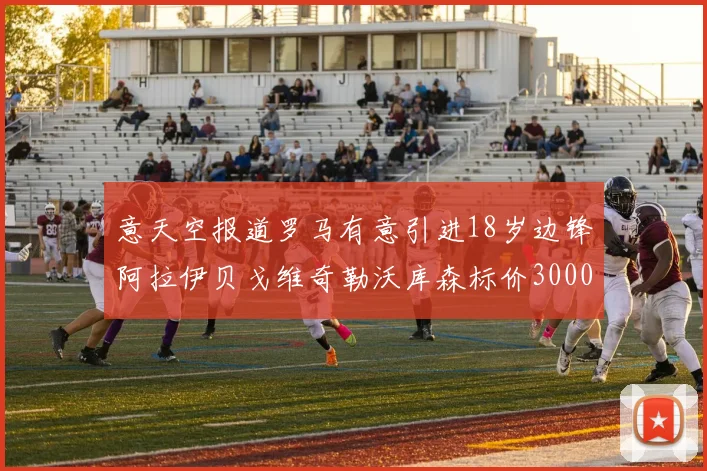意天空报道罗马有意引进18岁边锋阿拉伊贝戈维奇勒沃库森标价3000万欧元